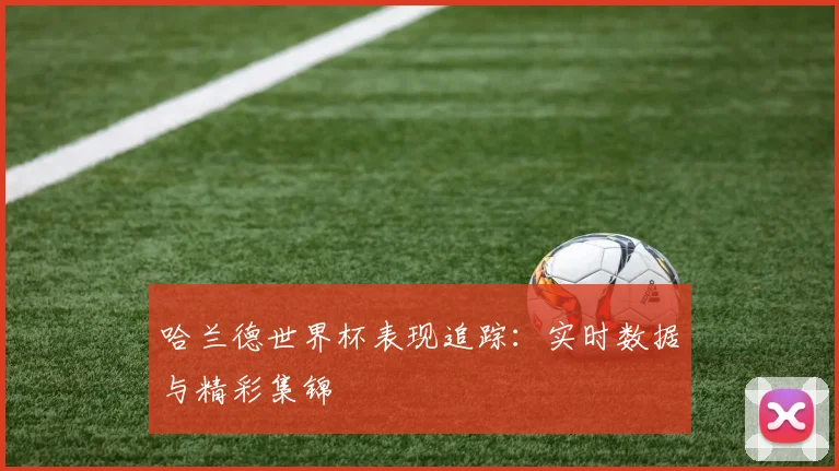 哈兰德世界杯表现追踪：实时数据与精彩集锦