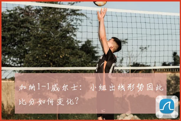 加纳1-1威尔士:小组出线形势因此比分如何变化?